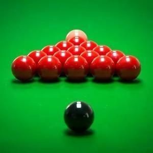 树立更高的 树立更高的